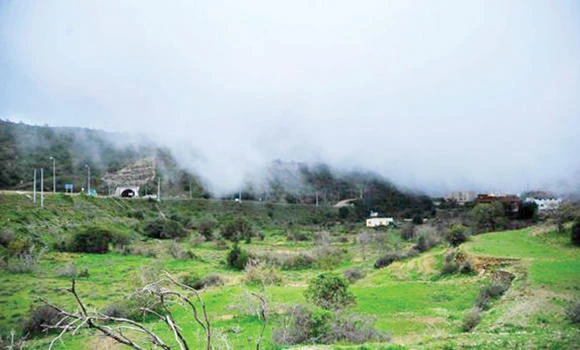 High rates deter local tourists