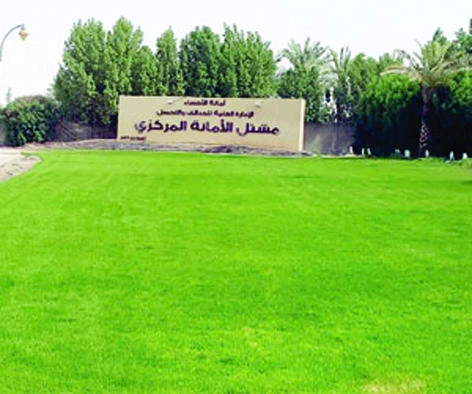 Pilgrims to get cool treat in EP