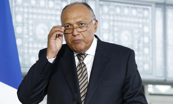Riyadh, Cairo ‘on same page over vital issues’