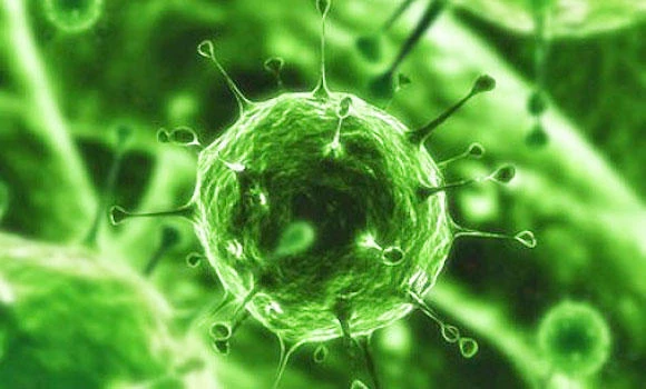 Hospital fined for refusing
to treat MERS patient