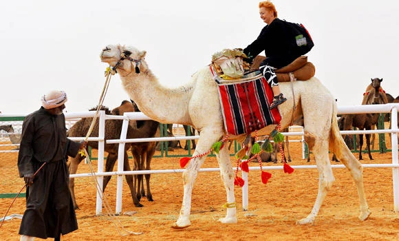 Visit to camel barns banned
