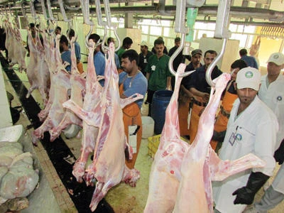 50,000 animals expected to be slaughtered in Riyadh