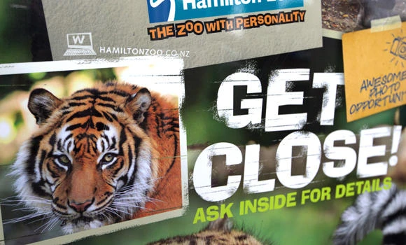 New Zealand zoo won’t euthanize tiger that killed zookeeper