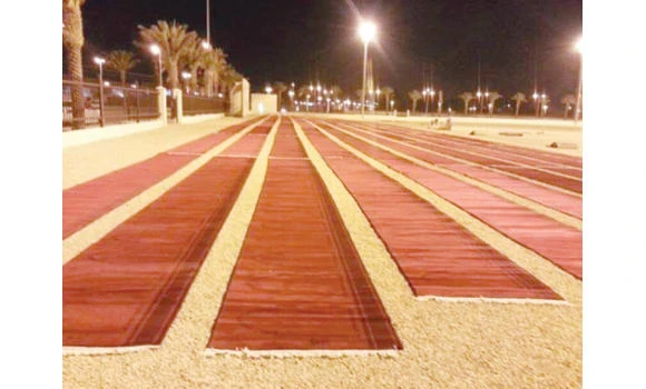 Eid prayers to be offered in 666 Riyadh mosques