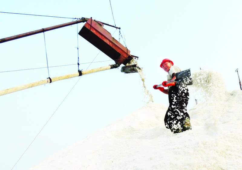 Oil prices fall 2%