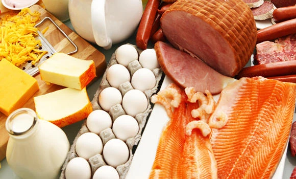 A high protein diet to help you lose weight