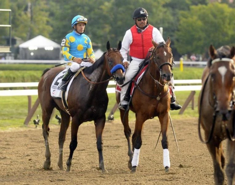 Pharoah looks good after loss; no decision on racing plans