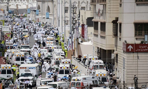 Stampede: DNA profiling of all dead and injured completed