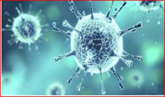Saudi man, 63, dies of MERS in Philippines