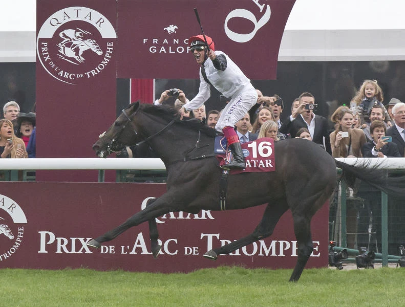 Dettori rides to Arc glory on Golden Horn