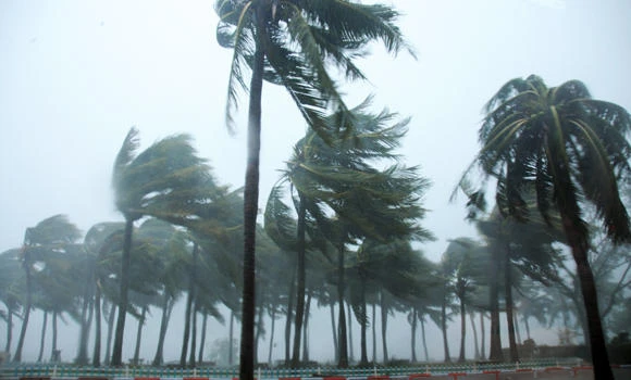 Tens of thousands evacuated as typhoon roars into south China