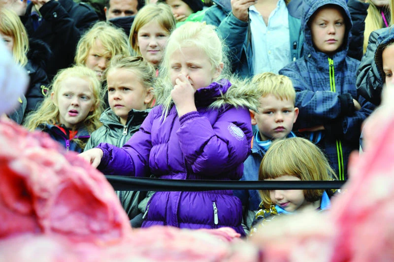 Zoo criticized as it dissects lion before kids