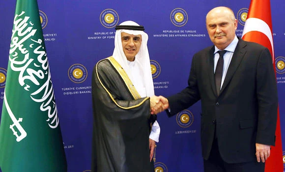 KSA, Turkey reiterate opposition to Assad's regime in Syria