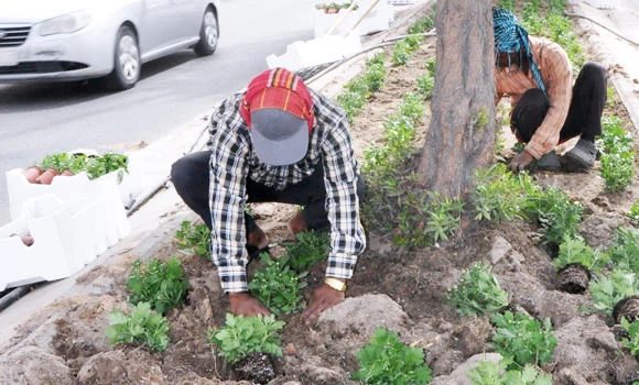 Accumulated waste threatens farmers