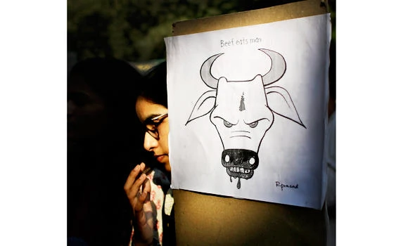 Mob killing over beef premeditated, says govt investigation