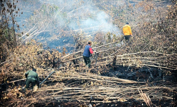 Indonesia to review laws on land-burning