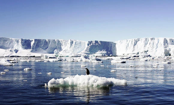West Antarctic ice melt could raise seas by three meters