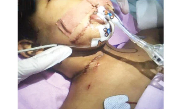 Maid stabs child in a frenzy