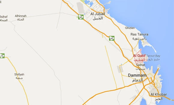 Hunt on for terrorists who injured policeman, expats