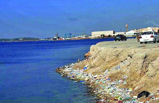 Action needed to save the environment