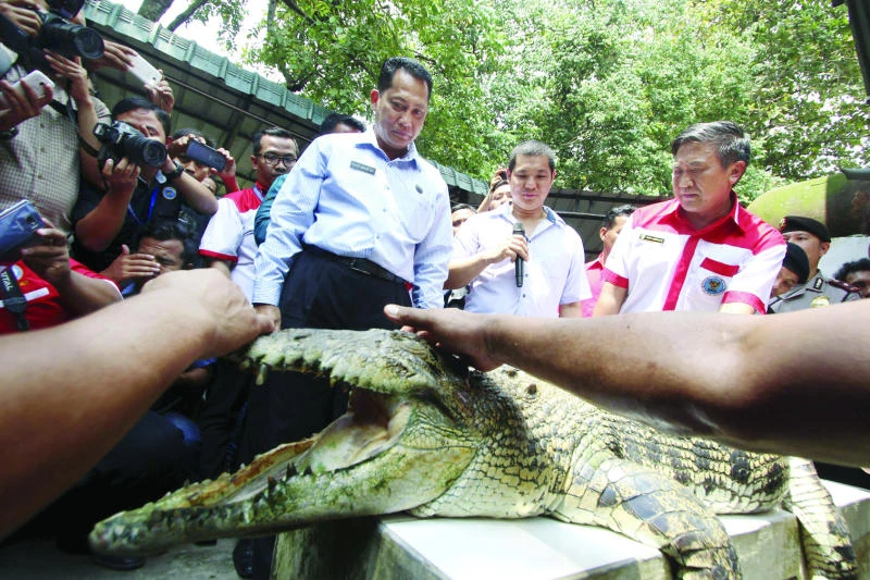 Tigers, piranhas may join crocodile guards at Indonesia jail