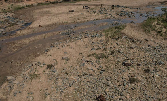 ‘Regional disaster’ warning as S. Africa suffers drought