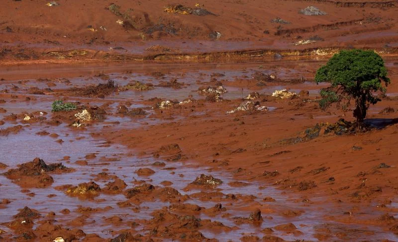 Mining companies fined over dam burst