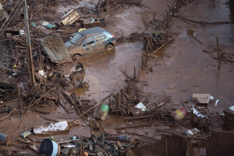 Brazil dam bursts could cost more than $2.5B, lawmaker says