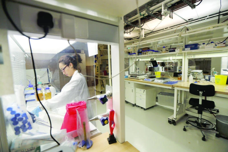 UAE channels funds into alternative energy