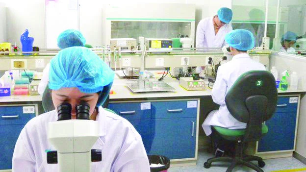 World’s biggest
clone firm raises fears in China