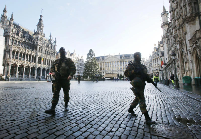 Cats used as bait to lure tourists back to Brussels