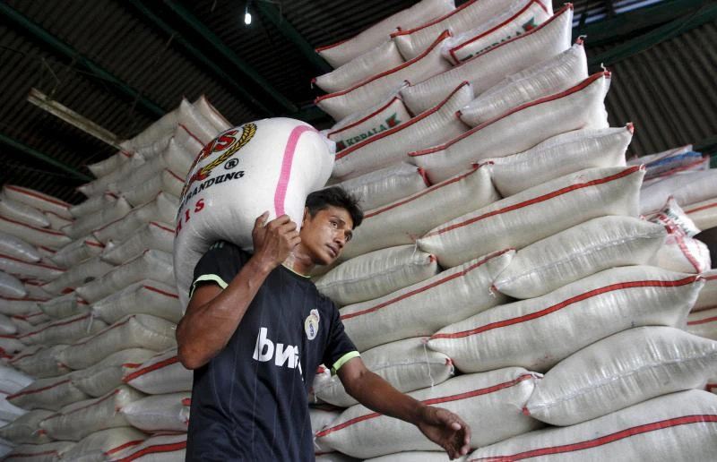 New Abu Dhabi rice mill to start operations in Q2 2016