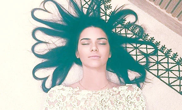Females and felines are top 2015 Instagram stars