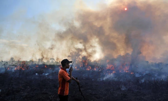 Fires cost Indonesia $16 bn, twice the tsunami bill: WB