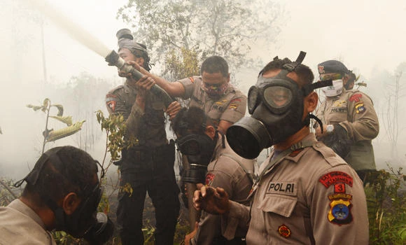 Indonesia punishes firms over forest fires