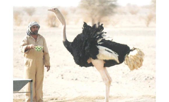 Mahazath wildlife sanctuary wins GCC award