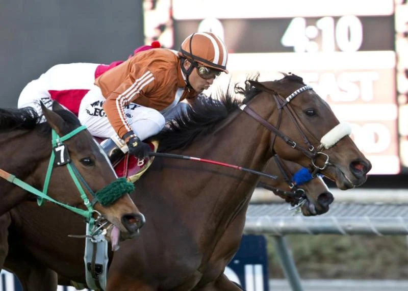 Gender Agenda claims Robert Frankel Stakes at Santa Anita