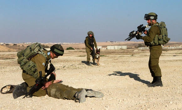 Israel cracks down on Daesh volunteers