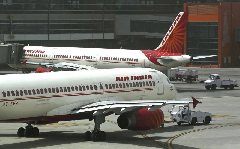 'Rat on a plane' forces Air India flight to turn back