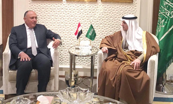 Egypt expresses complete solidarity with Kingdom