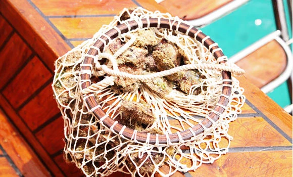 Qatar busts smuggler with $1.2m pearls and diamonds
