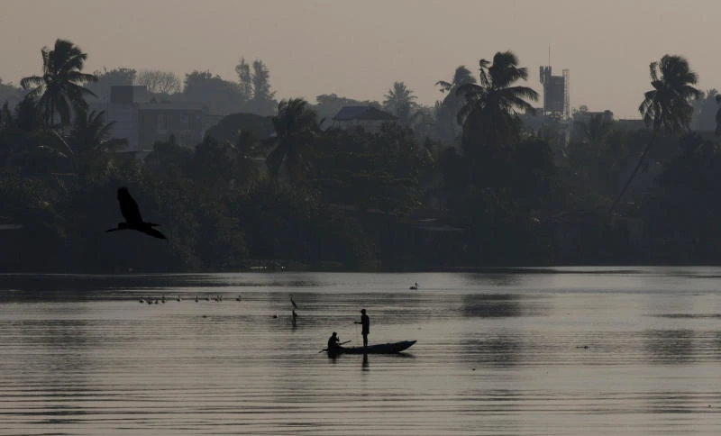 Sri Lankan currency steady on thin trade