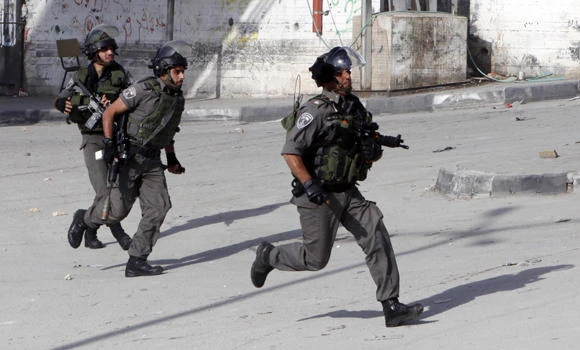 Swedish foreign minister calls for inquiry into Israeli violence
