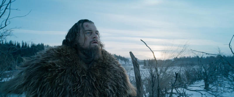 Fans express regret over Oscars’ lack of diversity