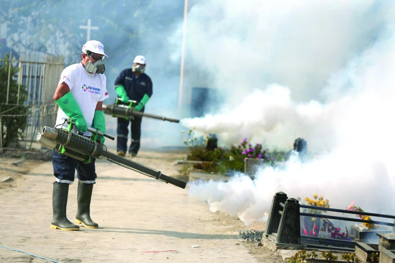 More Brazilian babies affected by Zika