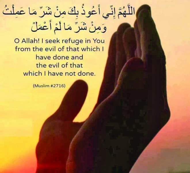 Meaning of life in Islam