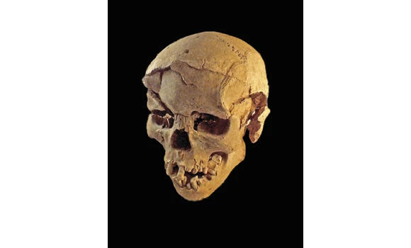 Ancient ‘massacre’ unearthed near Lake Turkana, Kenya