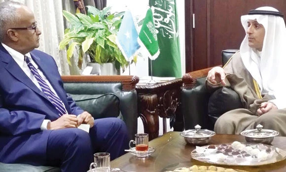 Somalia commends KSA’s anti-terror role