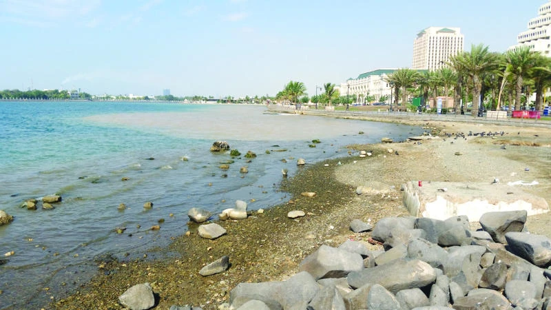 PME warns of polluted beaches in Jeddah