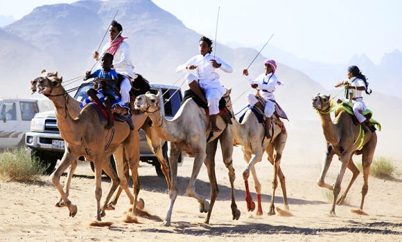Transporting camels in Jeddah banned
